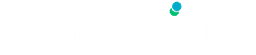 Punto Aliado